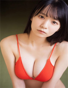 《诺兰 爱情公寓-漂亮的av女演员》